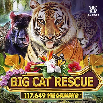Big Cat Rescue Megaways - POCKETSLOT777