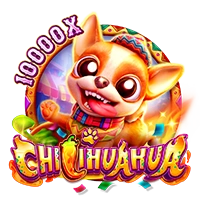 CHILIHUAHUA - POCKETSLOT777