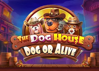 The Dog House - Dog or Alive - POCKETSLOT777