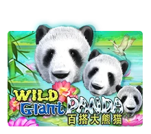 Wild Giant Panda - POCKETSLOT777