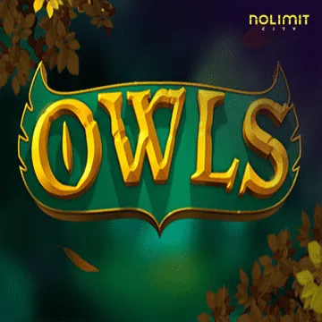 Owls - POCKETSLOT777