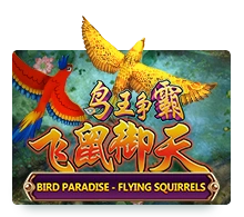 Bird Paradise - POCKETSLOT777