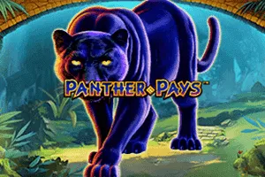 Panther Pays - POCKETSLOT777