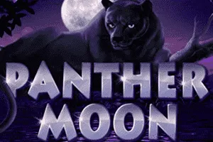 Panther Moon - POCKETSLOT777