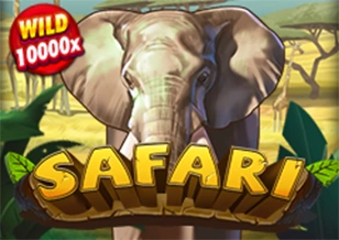 Safari - POCKETSLOT777